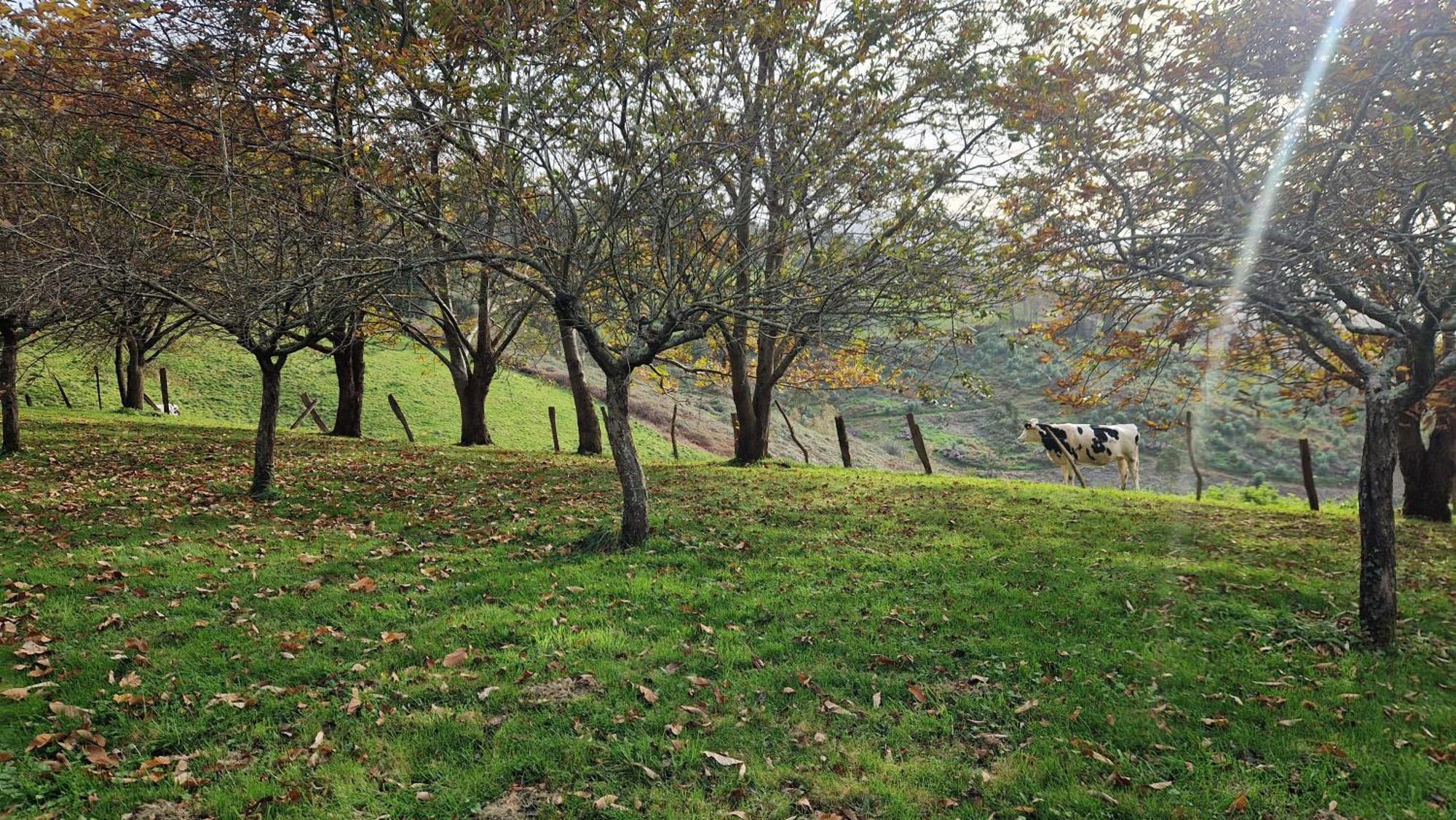 Casa Bezales En Ampuero Cantabria Kültér fotó
